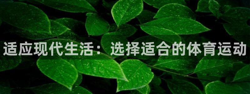 MK体育官方正版app娱乐下载:适应现代生活:选择适合的体育